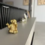 Apartament/penthouse Ssara * Timişoara