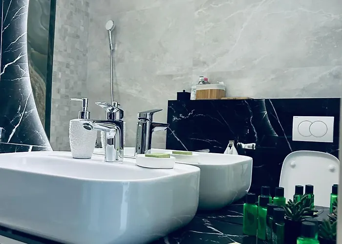 Apartament/penthouse Ssara Apartment Timisoara