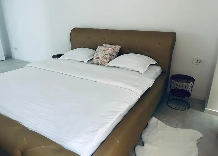 Apartament/penthouse Ssara Apartment Timisoara