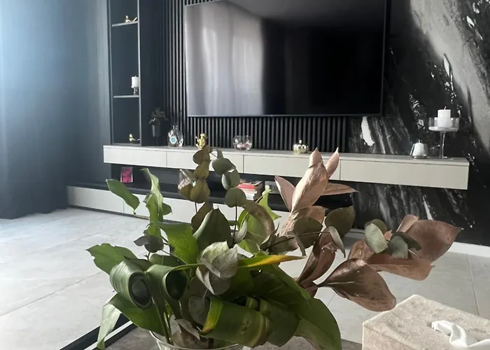 Apartament/penthouse Ssara Timisoara