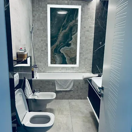 公寓 Apartament/penthouse Ssara 蒂米什瓦拉