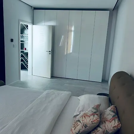 公寓 Apartament/penthouse Ssara 蒂米什瓦拉