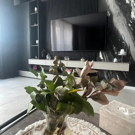 Apartament/penthouse Ssara 蒂米什瓦拉