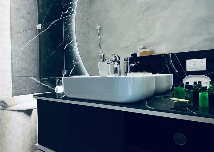 Apartament/penthouse Ssara Timişoara